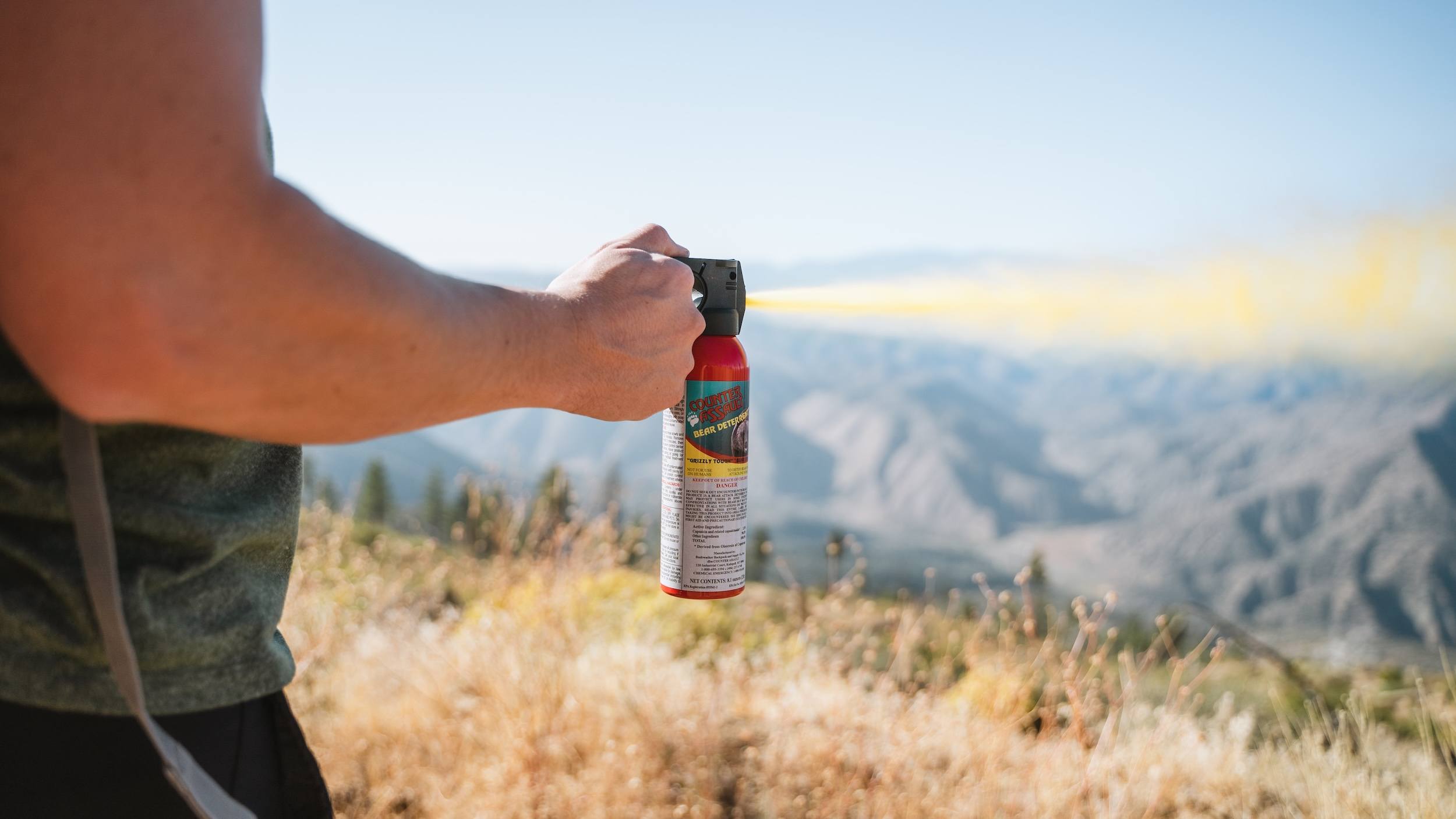 A man spraying bear spray against a mountain landscape