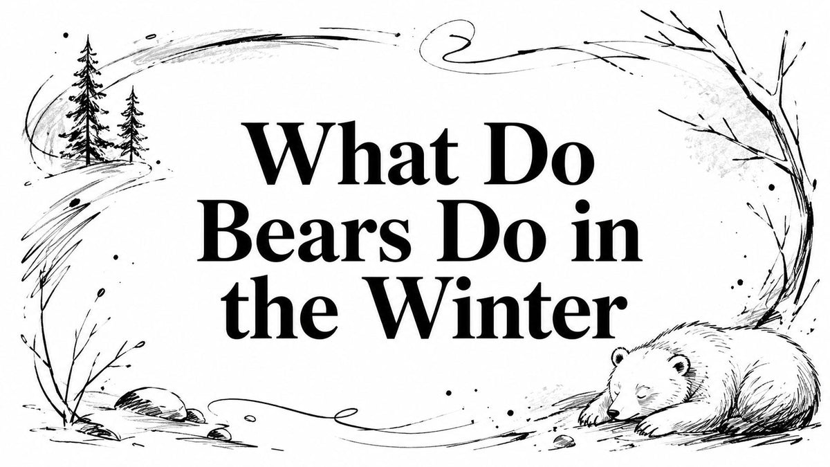 What Do Bears Do in the Winter