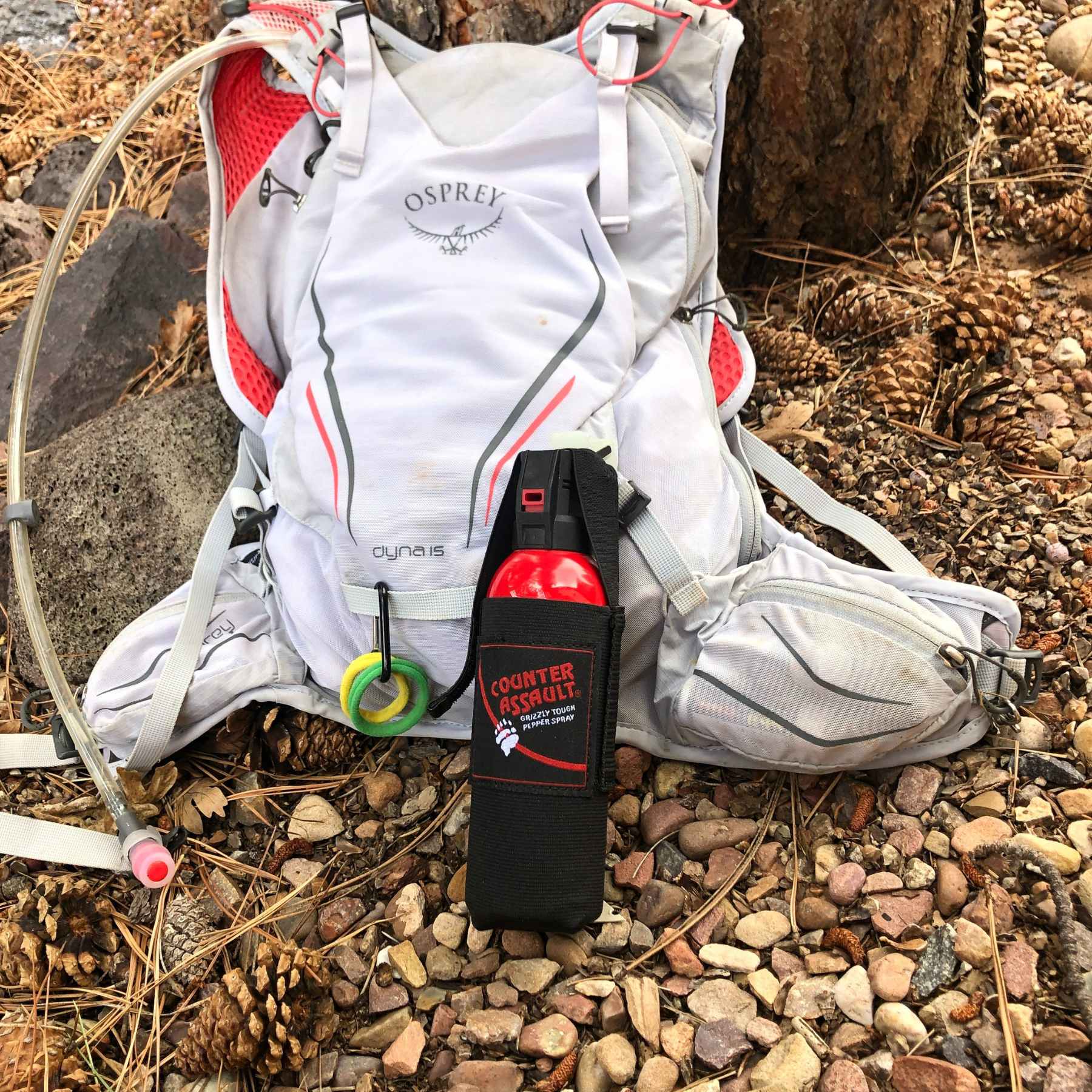 Bag with a Counter Assault bear deterrent spray