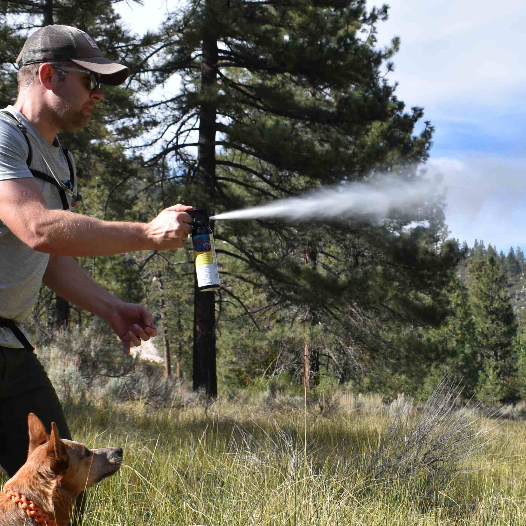 Man with a dog spraying with a training canister
