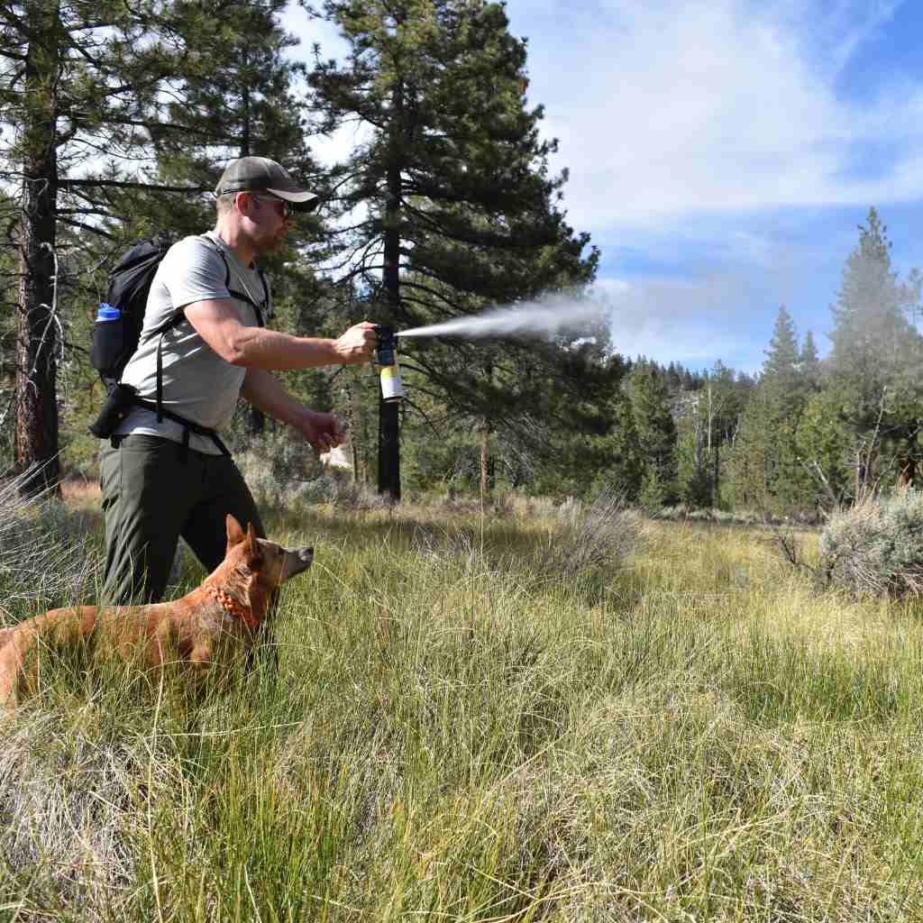 Man using inert training canister with dog next to him in a field.