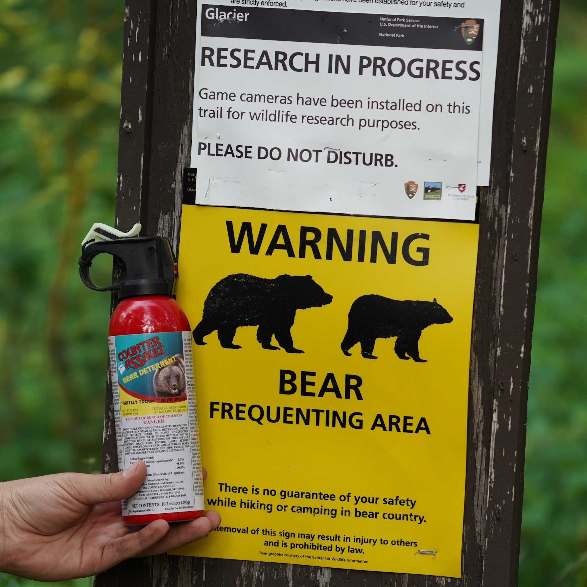Bear spray held by a bear warning sign