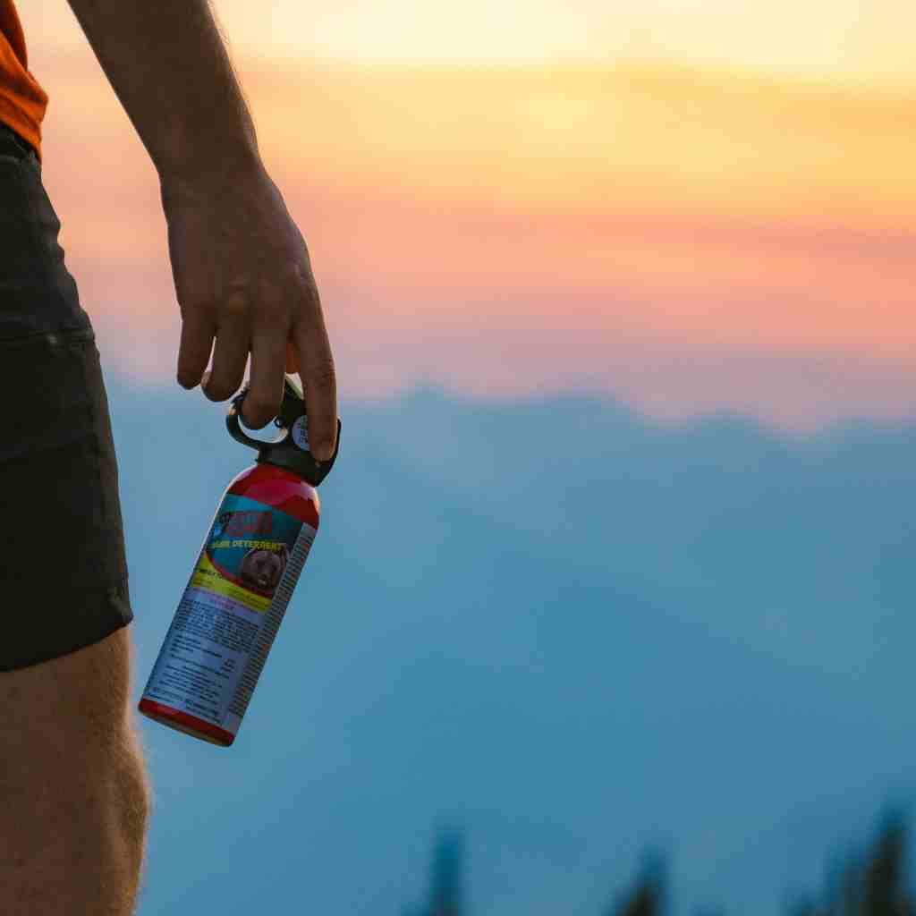 Person holding bear spray in front of sunset and mountains.
