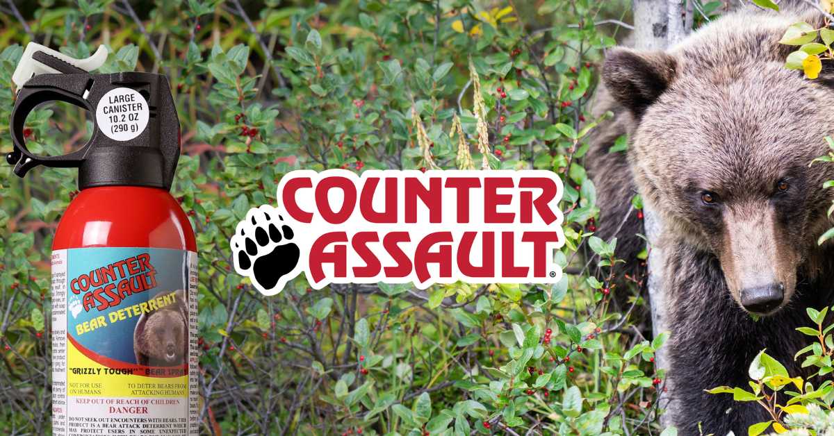 Counter Assault