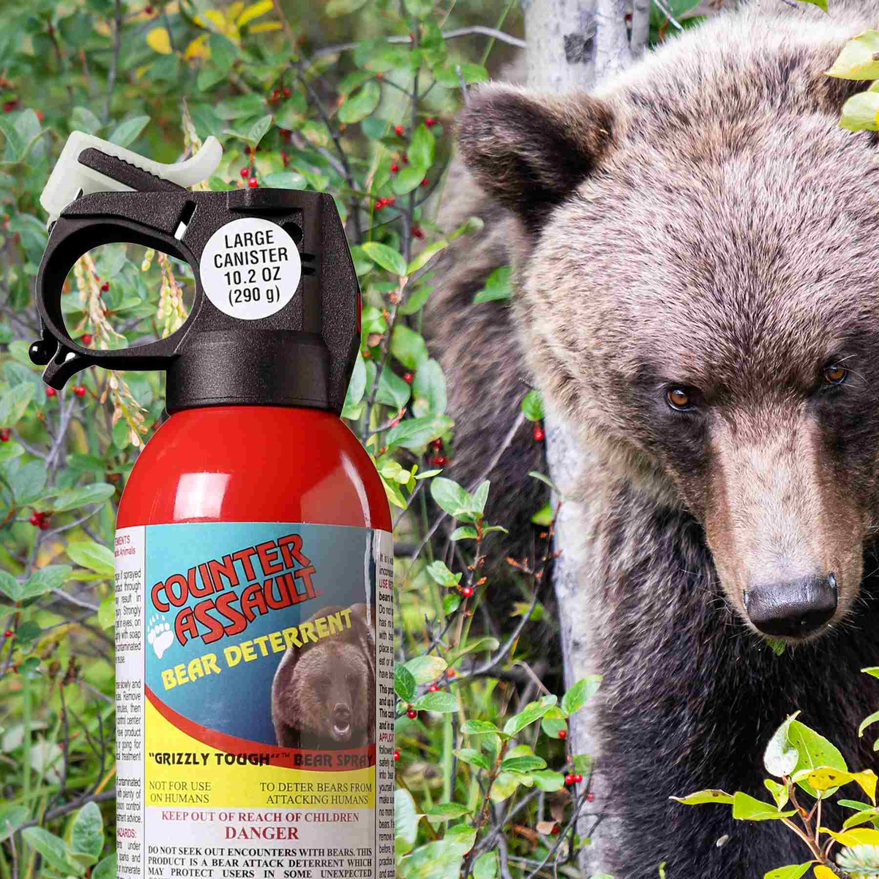 Grizzly bear in brush and Counter Assault bear spray can.