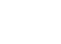 Mountain Lion